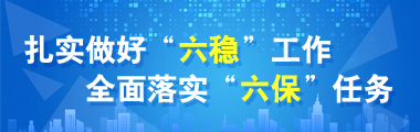 扎實做好“六穩”工作 全面落實“六保”任務專題